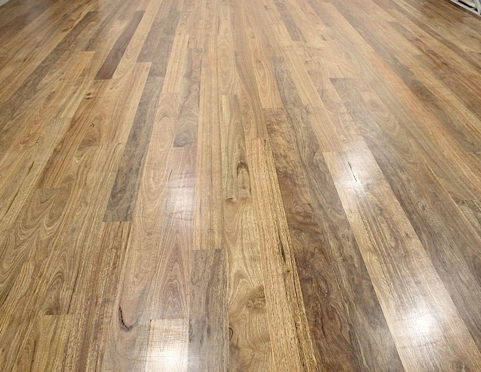 NSW Spotted Gum Timber Flooring - Sanding and Polishing ...