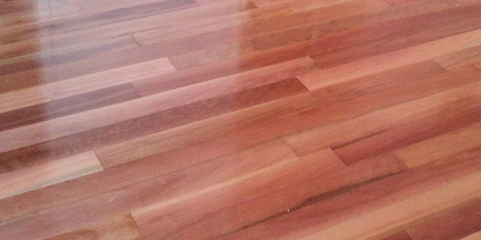 Blue Gum Timber Flooring Melbourne 2